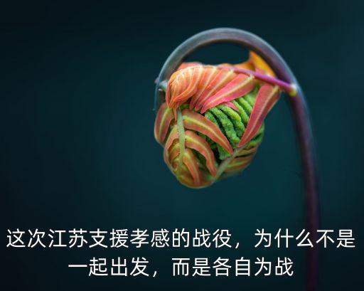 這次江蘇支援孝感的戰役，為什么不是一起出發，而是各自為戰