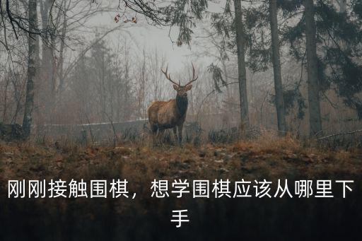 內江圍棋哪里可以學,學圍棋去哪里好