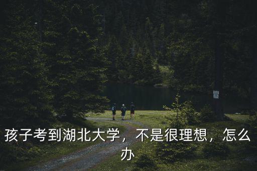 孩子考到湖北大學，不是很理想，怎么辦