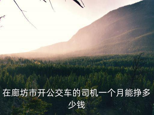 廊坊市公交車司機工資是多少,公交車司機月工資是多少