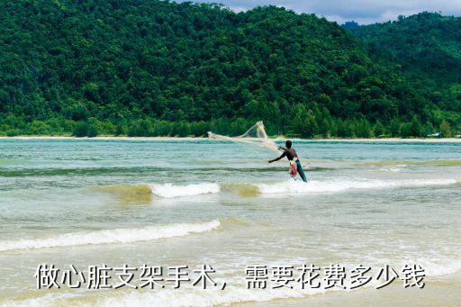 六安心臟支架需要多少費用,做心臟支架手術