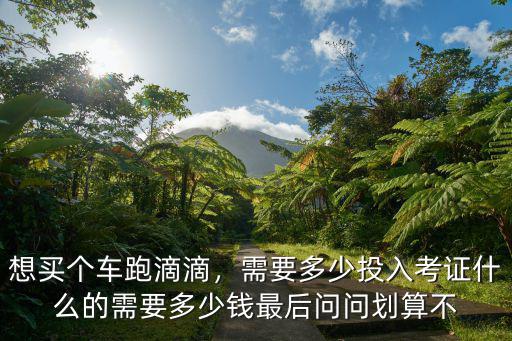 想買個(gè)車跑滴滴，需要多少投入考證什么的需要多少錢最后問(wèn)問(wèn)劃算不