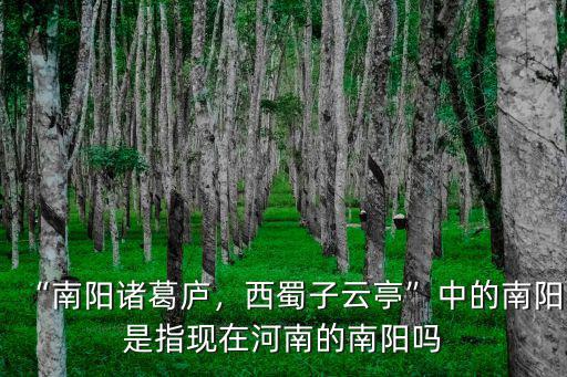 河南南陽以前是哪里的,南陽張姓祖上是哪里的