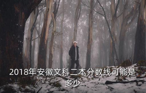 2018年安徽文科二本分?jǐn)?shù)線可能是多少