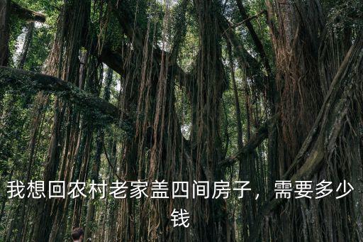 我想回農村老家蓋四間房子，需要多少錢