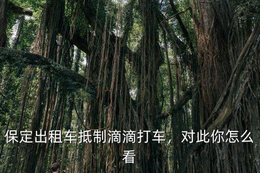 保定出租車抵制滴滴打車，對此你怎么看