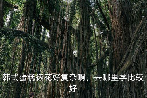 韓式蛋糕裱花好復(fù)雜啊，去哪里學(xué)比較好