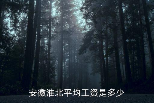 皖馬鞍山市平均工資是多少,安徽淮北平均工資是多少