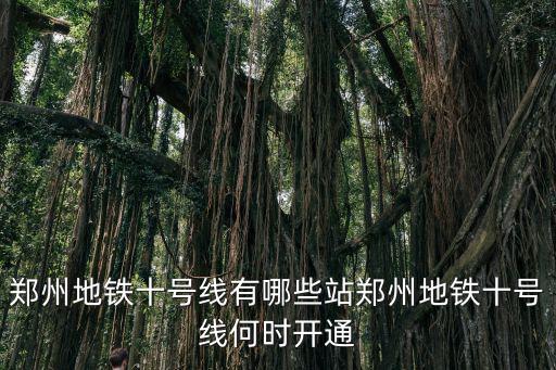 鄭州哪里有地鐵出口,鄭州地鐵十號線有哪些站