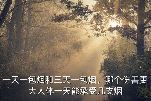 衡水一天抽多少煙,一天抽幾支煙比較合適