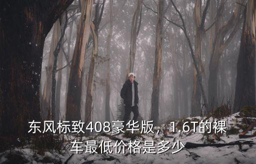 合肥標(biāo)致408價(jià)格優(yōu)惠多少,標(biāo)致408多少錢