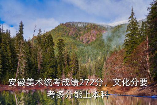 安徽美術統考成績272分，文化分要考多分能上本科