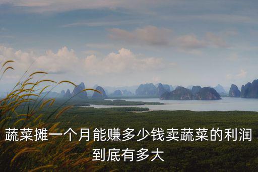 滄州賣菜一年能賺多少錢,賣菜一年能賺多少錢