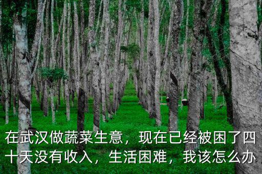 在武漢做蔬菜生意，現在已經被困了四十天沒有收入，生活困難，我該怎么辦