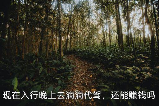 現在入行晚上去滴滴代駕，還能賺錢嗎