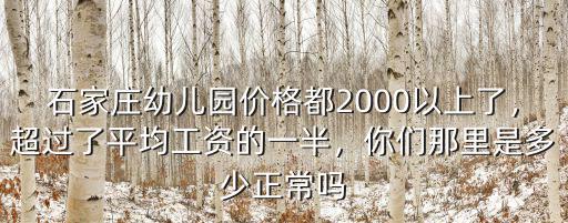 石家莊公辦幼兒園工資是多少,你們那里是多少
