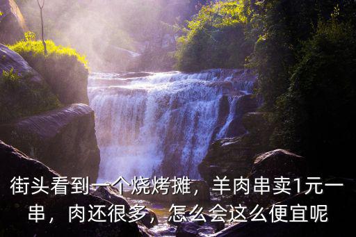 濮陽市的燒烤攤羊肉串多少錢一串,羊肉串賣1元一串