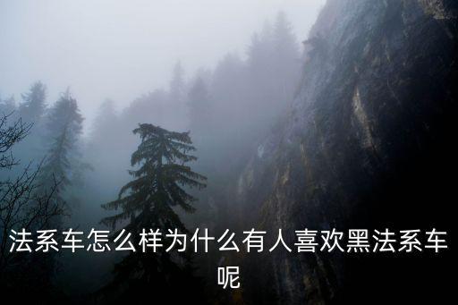 法系車怎么樣為什么有人喜歡黑法系車呢