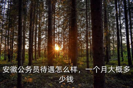 安徽省公務(wù)員平均工資多少錢一年,安徽公務(wù)員待遇怎么樣