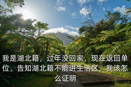 我是湖北籍，過年沒回家，現(xiàn)在返回單位，告知湖北籍不能進生活區(qū)，我該怎么證明