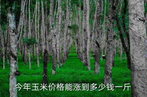 駐馬店今年玉米多少錢一斤,駐馬店的玉米現在多少錢一斤