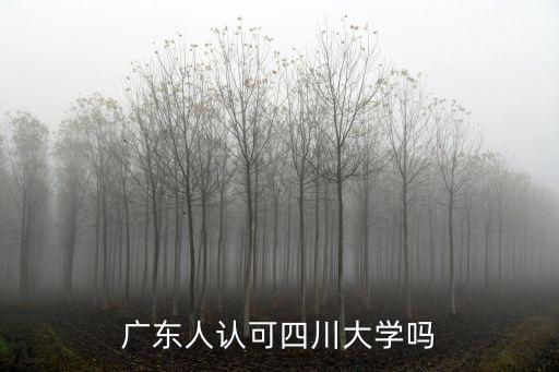 四川大學閔心暢哪里人,廣東人認可四川大學嗎
