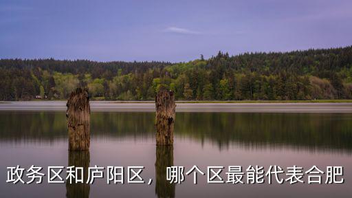 政務(wù)區(qū)和廬陽區(qū)，哪個(gè)區(qū)最能代表合肥