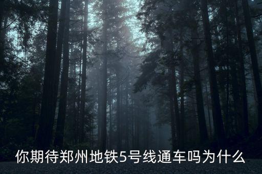 你期待鄭州地鐵5號線通車嗎為什么