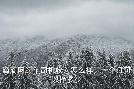 滴滴網約車司機收入怎么樣，一個月可以掙多少