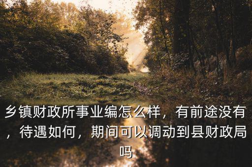 鄉(xiāng)鎮(zhèn)財政所事業(yè)編怎么樣，有前途沒有，待遇如何，期間可以調(diào)動到縣財政局嗎