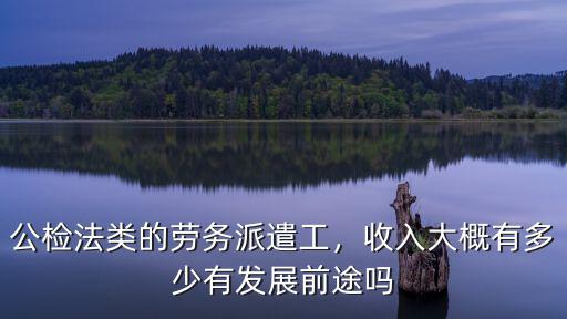 蕪湖縣勞務派遣工資有多少,收入大概有多少