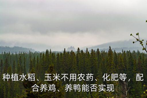 種植水稻、玉米不用農藥、化肥等，配合養雞、養鴨能否實現