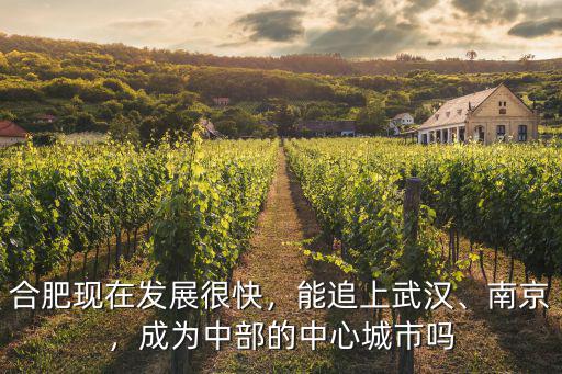 武漢合肥南京發(fā)展有限公司怎么樣啊,現(xiàn)在合肥的發(fā)展怎么樣