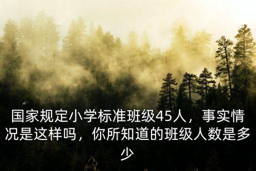 阜陽(yáng)市小學(xué)每班班級(jí)人數(shù)多少,你所知道的班級(jí)人數(shù)是多少