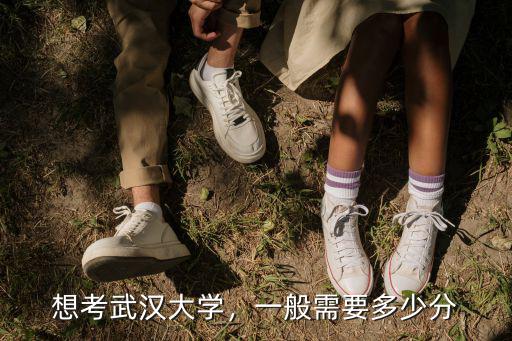 武漢大學今年安徽考生需要多少分,想考武漢大學