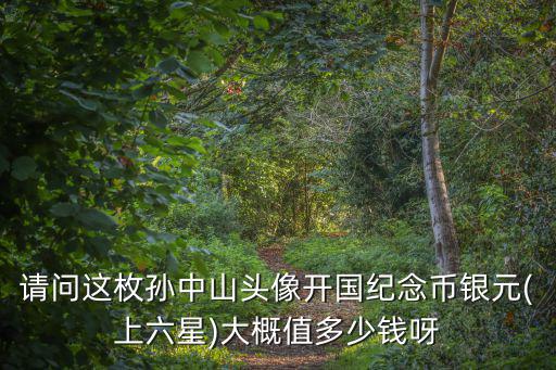 安徽九星開國紀念幣多少錢一枚,現在能值多少錢
