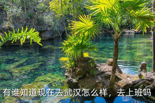 武漢晨暉上班怎么樣,去武漢醉唐風(fēng)上班怎么樣