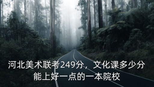 河北美術聯考多少分可以保走本科,河北美術聯考249分