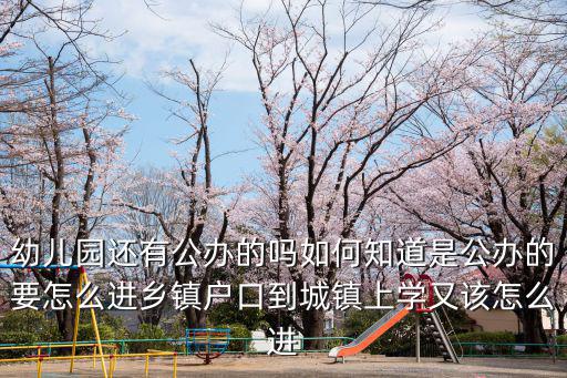 十堰公立幼兒園怎么入學的,幼兒園還有公辦的嗎