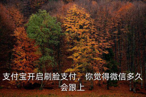 支付寶開啟刷臉支付，你覺得微信多久會跟上