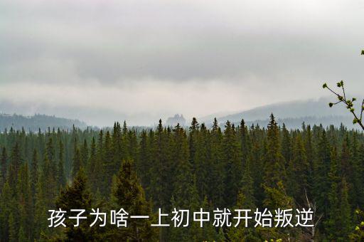 鄭州孩子叛逆家長怎么辦,叛逆得很。我該怎么辦