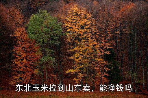 東北玉米是怎么運到河南的,現在把東北的玉米運到華北賣
