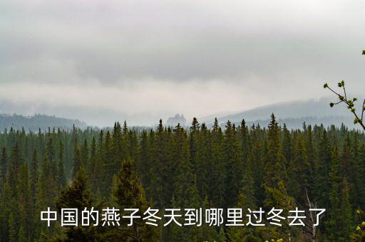 成都春天的燕子冬天到哪里,燕子就往南飛