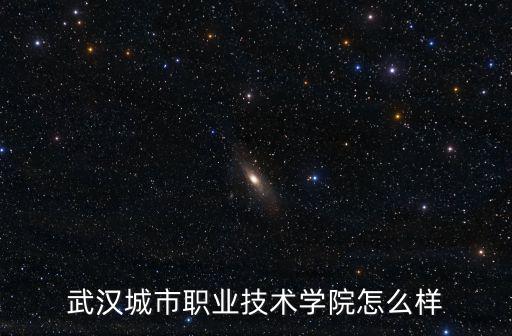 武漢城市職業技術學院怎么樣
