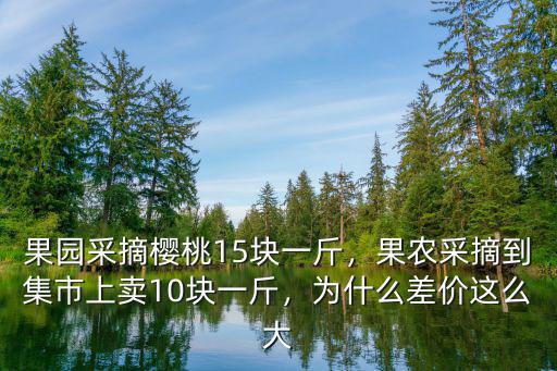 秦皇島采摘櫻桃多少錢一斤,果園采摘櫻桃15塊一斤