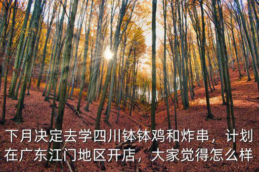 下月決定去學四川缽缽雞和炸串，計劃在廣東江門地區開店，大家覺得怎么樣