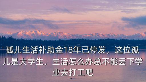 蚌埠孤兒救助金是多少,山東省孤兒救助金現在是多少