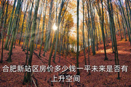 合肥新站區(qū)房價多少錢一平未來是否有上升空間