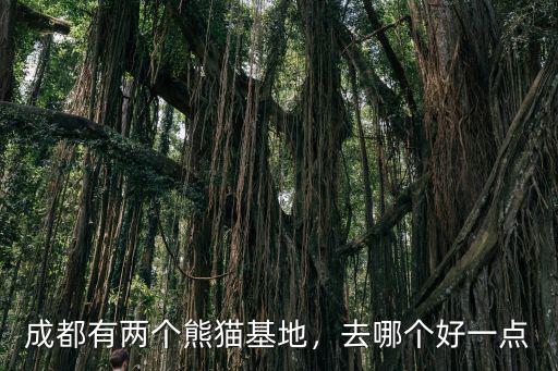 成都熊貓繁殖基地在哪里,成都的大熊貓基地在哪里