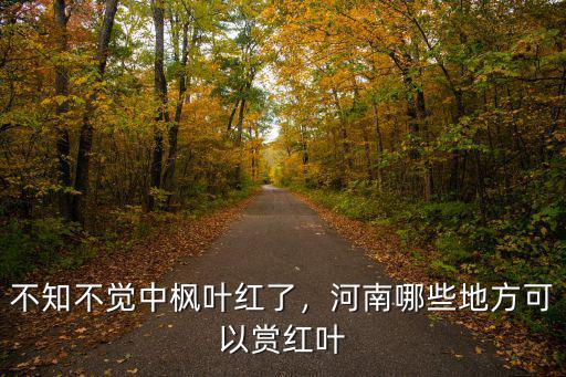 河南省內(nèi)哪里可以看到紅楓葉,不知不覺中楓葉紅了
